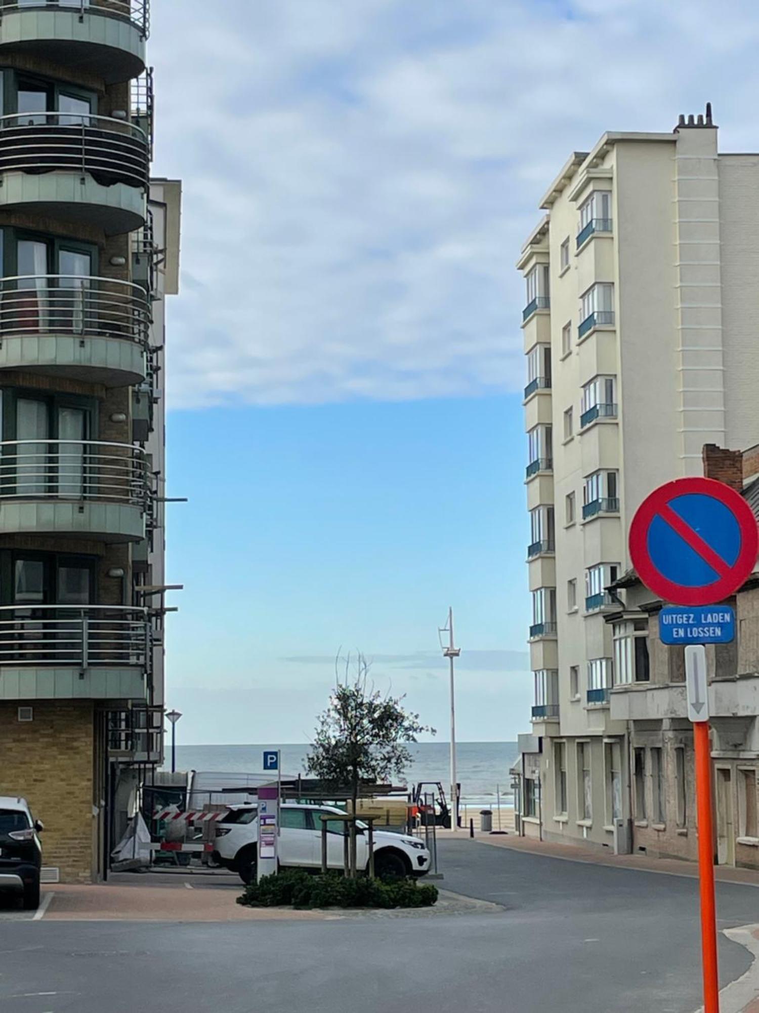 Zonnige Studio Mermoz Koksijde-Bad Экстерьер фото
